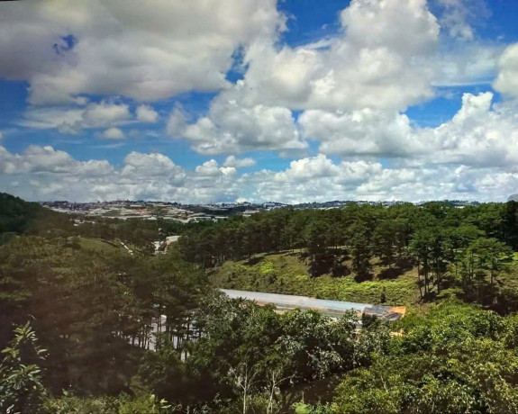 Bán Đất Nông Nghiệp Đường Cam Ly, Phường 7, Tp. Đà Lạt – View Rừng Thông, Gần Khu Du Lịch