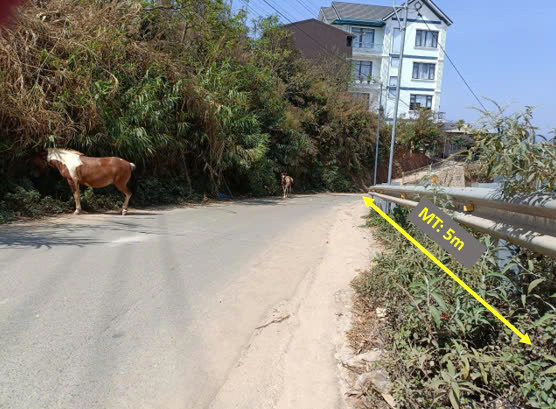 hình ảnh sản phẩm 404