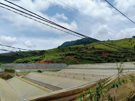 hình ảnh sản phẩm 404