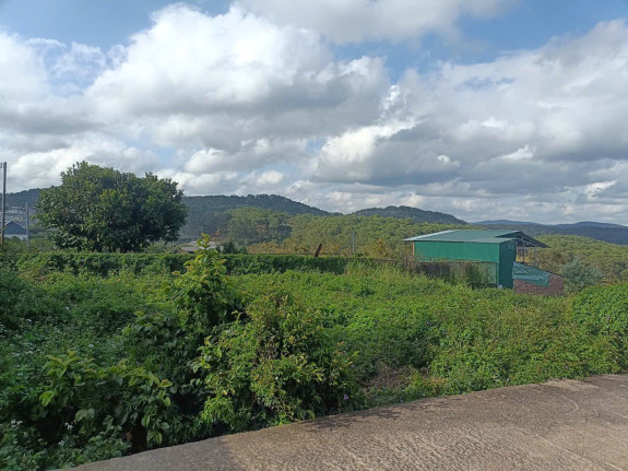Bán Đất Đa Thọ, Xuân Thọ, TP. Đà Lạt – Diện Tích Lớn, View Đồi Thông, Thích Hợp Farmstay & Nghỉ Dưỡng