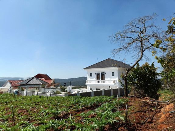 Bán Đất Mặt Tiền QL20 Xuân Thọ, TP. Đà Lạt – Diện Tích 3.533,74m² – View Đồi Thông & Điện Gió