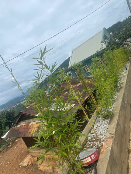 hình ảnh sản phẩm 404