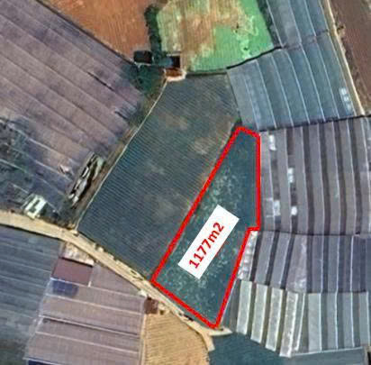 hình ảnh sản phẩm 404