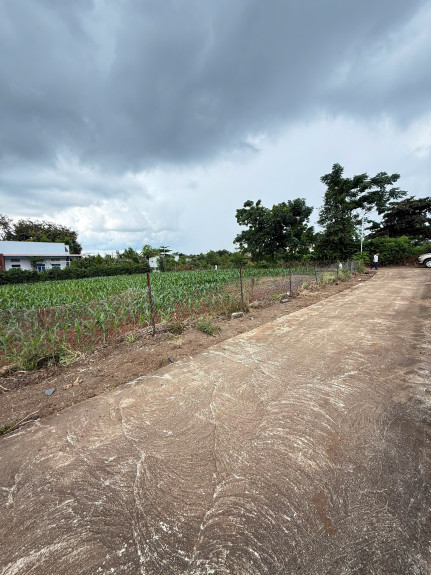 hình ảnh sản phẩm 404