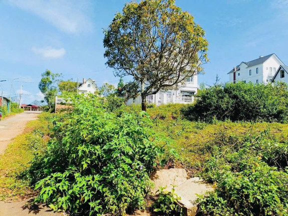 Bán 3 Lô Đất Liền Kề Đường Măng Lin – Phường 7, Tp Đà Lạt, View Thông Thoáng, Pháp Lý Minh Bạch