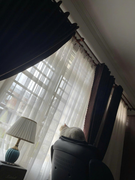 404
