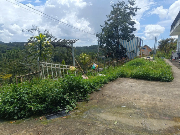 Đất Nông Nghiệp Gần Trục QL20, Phường 3, TP. Đà Lạt | View Đồi Thông Thoáng Mát, Gần Trung Tâm