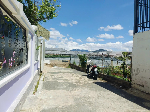 Đất Full Thổ Cư Khu Nam Hồ, Phường 11, TP. Đà Lạt | Vị Trí Đẹp, Pháp Lý Rõ Ràng, View Thoáng Mát