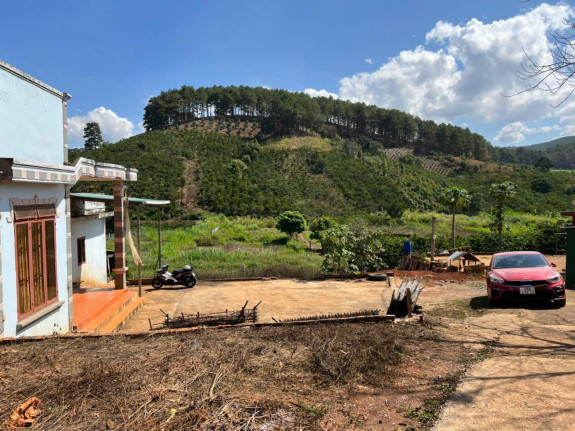 Đất View Thông 3 Mặt Tiền – Mê Linh, Lâm Hà, Lâm Đồng | Diện Tích Rộng, Có Sẵn Nhà Cấp 4