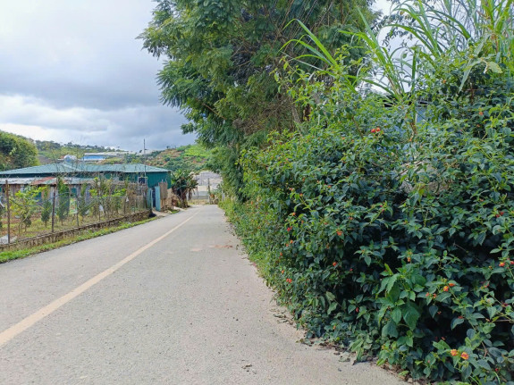 hình ảnh sản phẩm 404