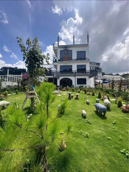 hình ảnh sản phẩm 404