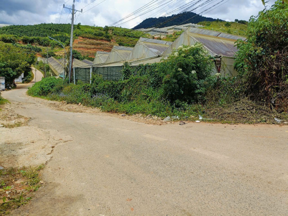 hình ảnh sản phẩm 404