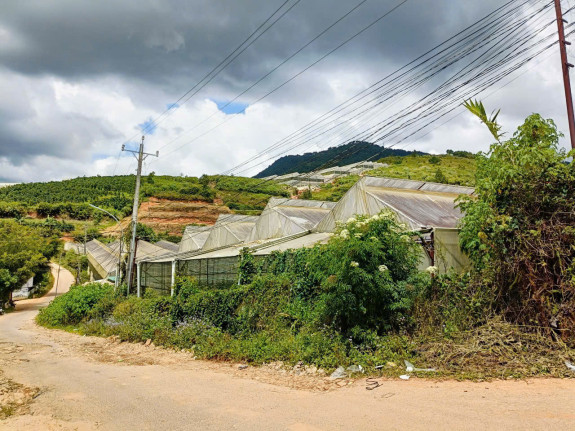 hình ảnh sản phẩm 404