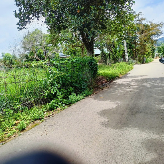 Đất Đẹp Bằng Phẳng Tại Xã Tà Nung – Ngoại Ô Đà Lạt: Không Gian Yên Bình Cho Nghỉ Dưỡng Và Đầu Tư Lâu Dài
