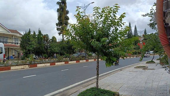 hình ảnh sản phẩm 404