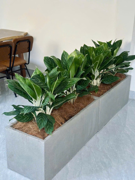 hình ảnh sản phẩm 404