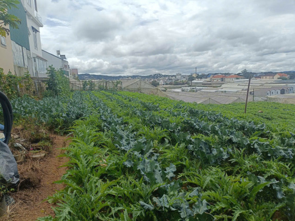 hình ảnh sản phẩm 404