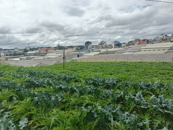 hình ảnh sản phẩm 404