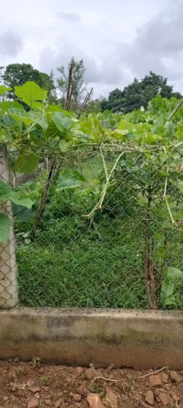 hình ảnh sản phẩm 404