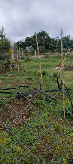 hình ảnh sản phẩm 404