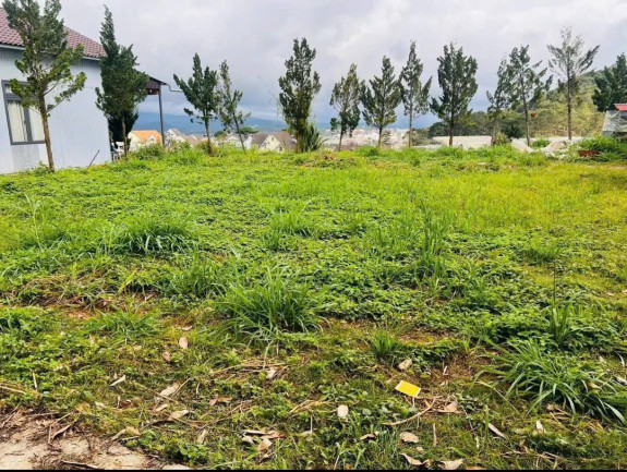 hình ảnh sản phẩm 404