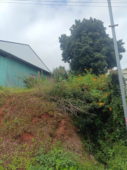 hình ảnh sản phẩm 404