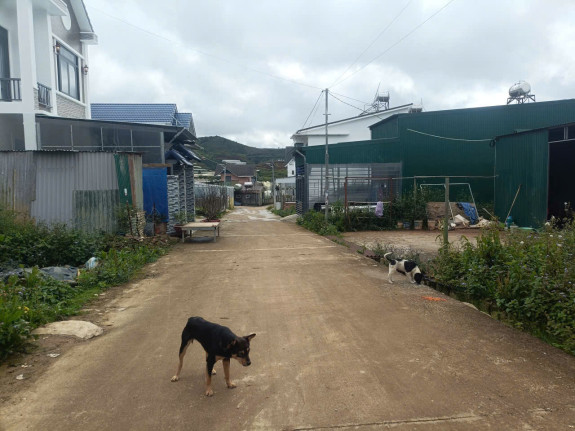 hình ảnh sản phẩm 404