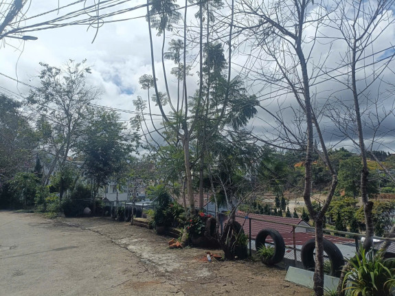 hình ảnh sản phẩm 404