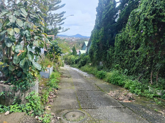 hình ảnh sản phẩm 404