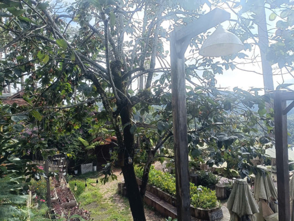 hình ảnh sản phẩm 404