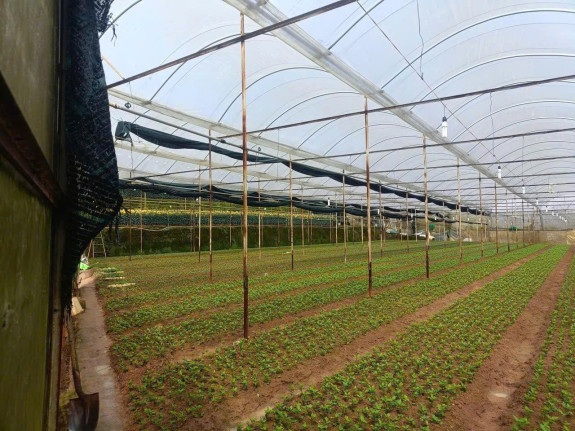 hình ảnh sản phẩm 404