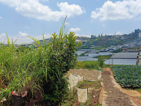 hình ảnh sản phẩm 404