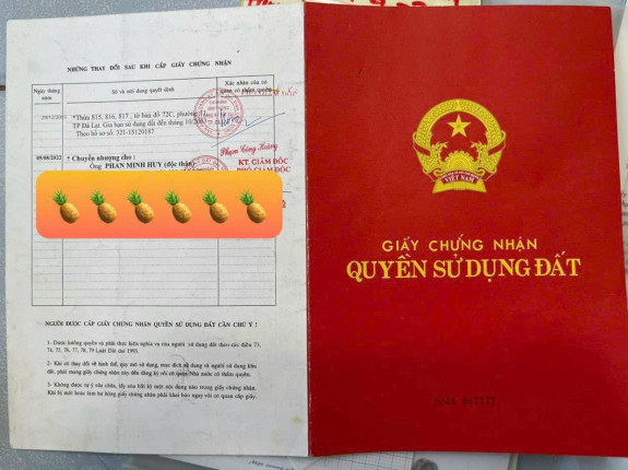 hình ảnh sản phẩm 404