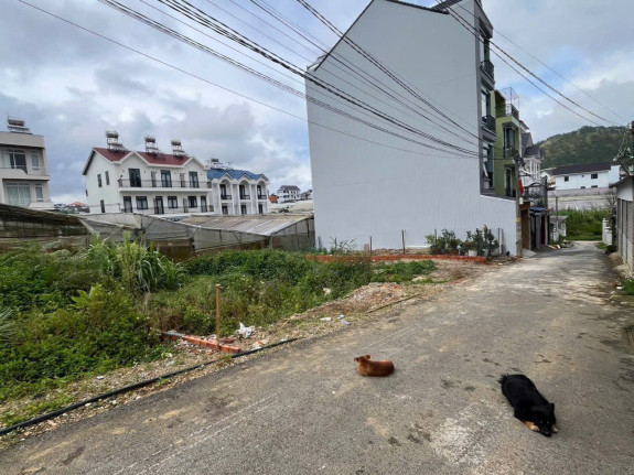 hình ảnh sản phẩm 404