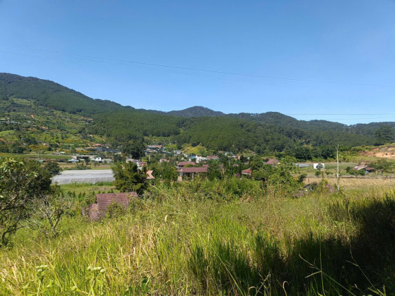 hình ảnh sản phẩm 404