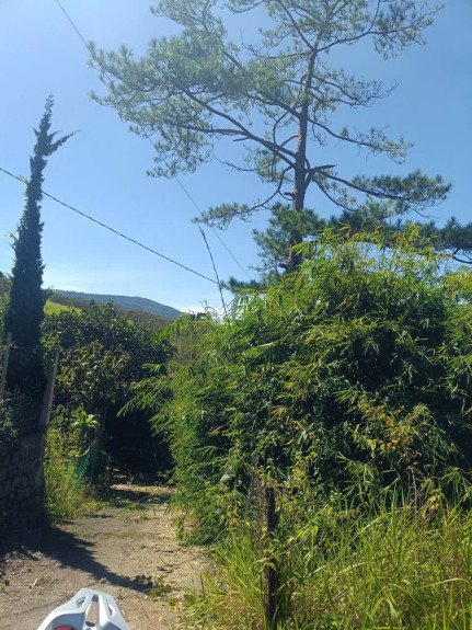 hình ảnh sản phẩm 404