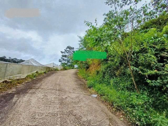 hình ảnh sản phẩm 404