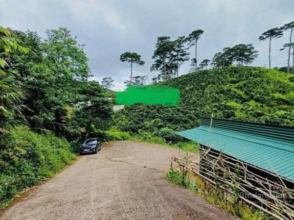 hình ảnh sản phẩm 404