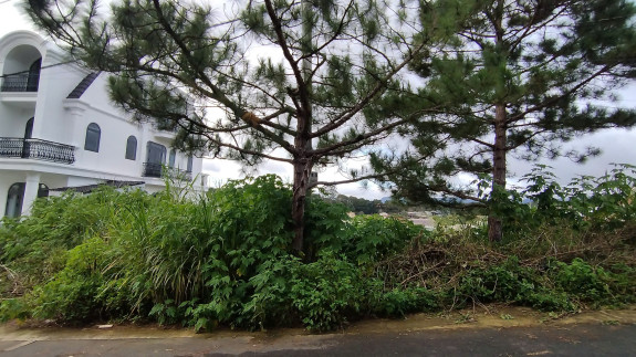 hình ảnh sản phẩm 404