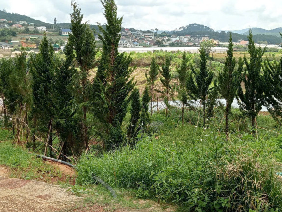 hình ảnh sản phẩm 404