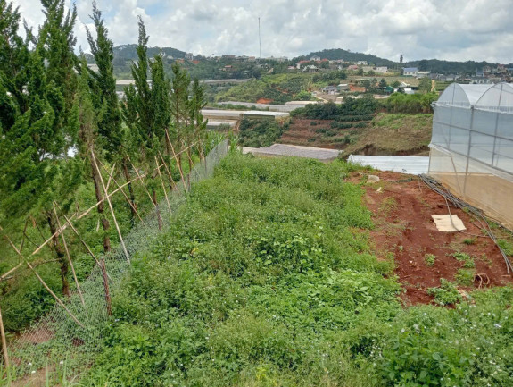 hình ảnh sản phẩm 404