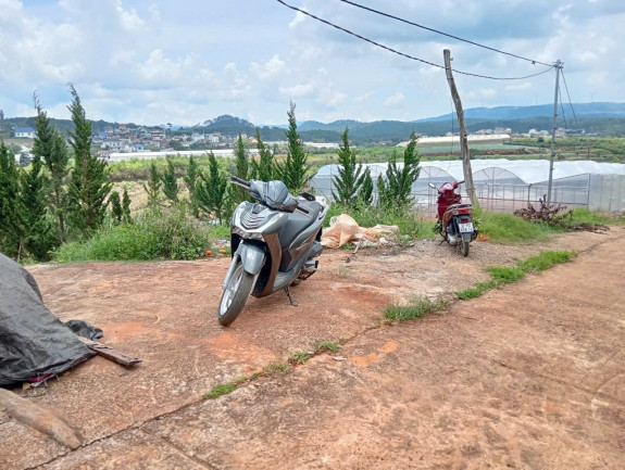 hình ảnh sản phẩm 404