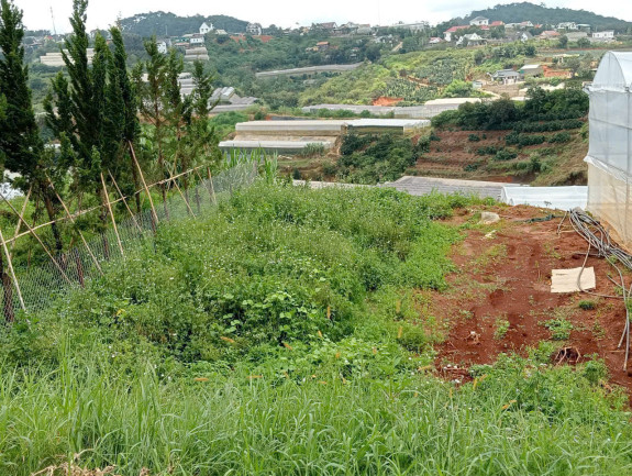 hình ảnh sản phẩm 404