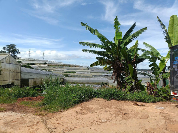 hình ảnh sản phẩm 404