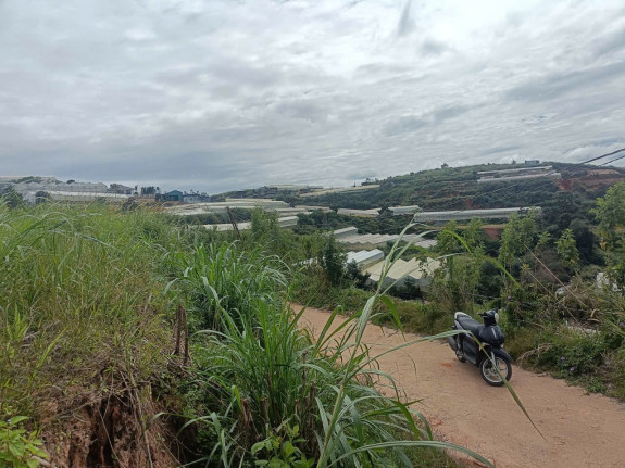 hình ảnh sản phẩm 404