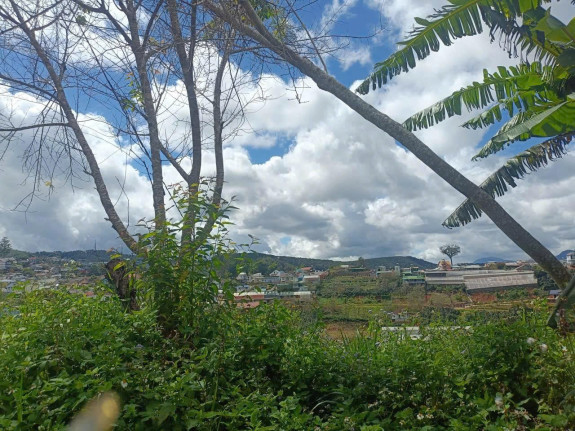 hình ảnh sản phẩm 404