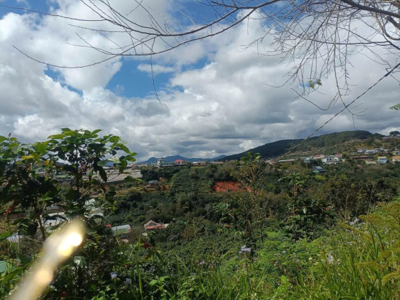 hình ảnh sản phẩm 404