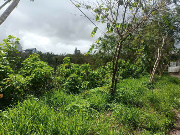 hình ảnh sản phẩm 404