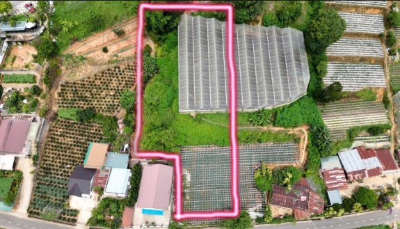 hình ảnh sản phẩm 404