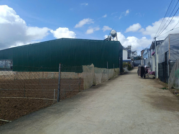 hình ảnh sản phẩm 404